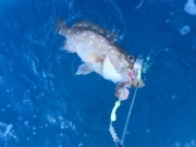 Miami Fishing_33